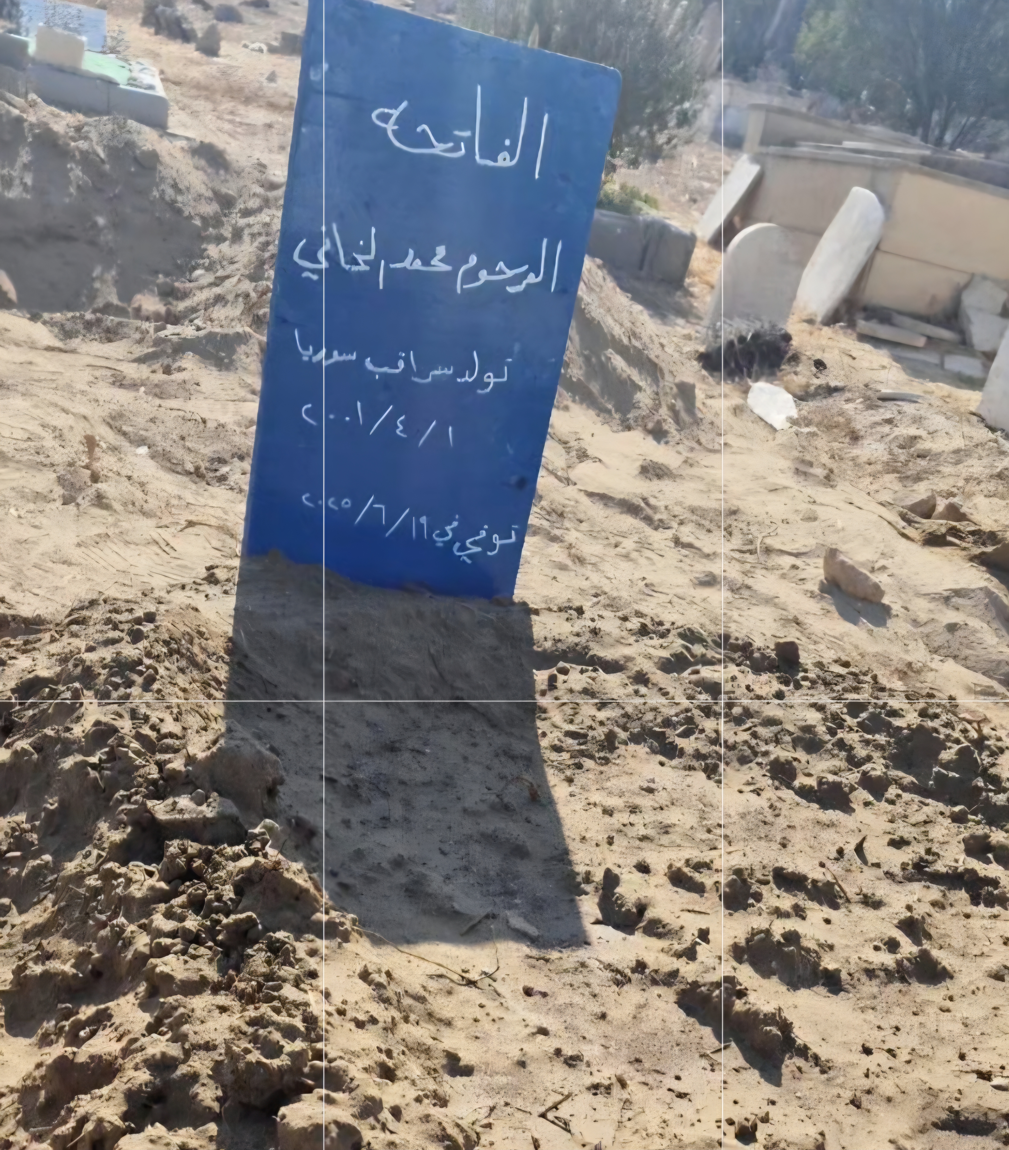 قبر محمد ألخاني