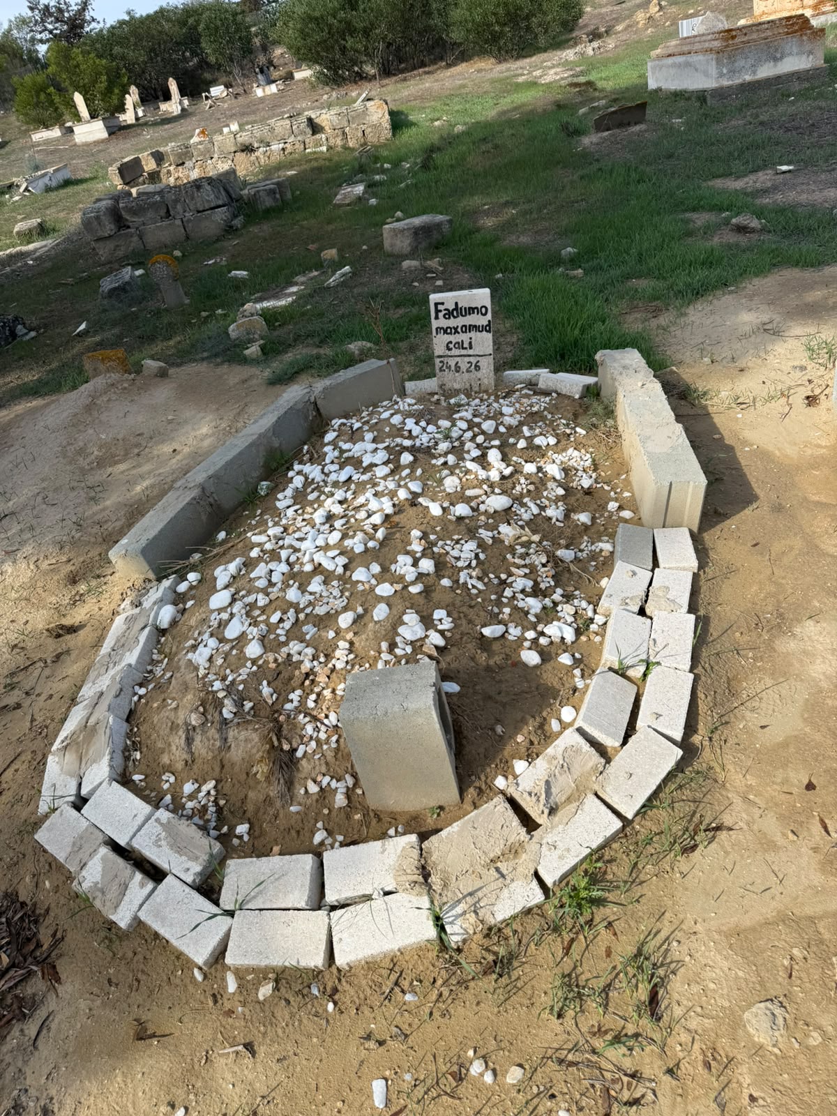 قبر فطوم محمود