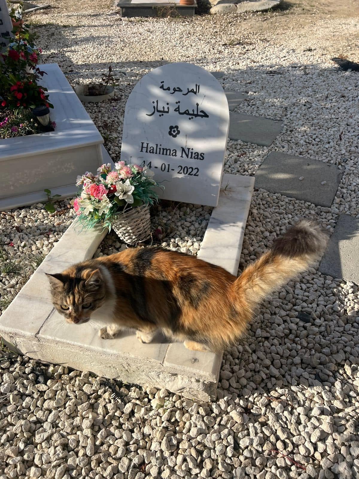 قبر ألطفله حليمه نياز
