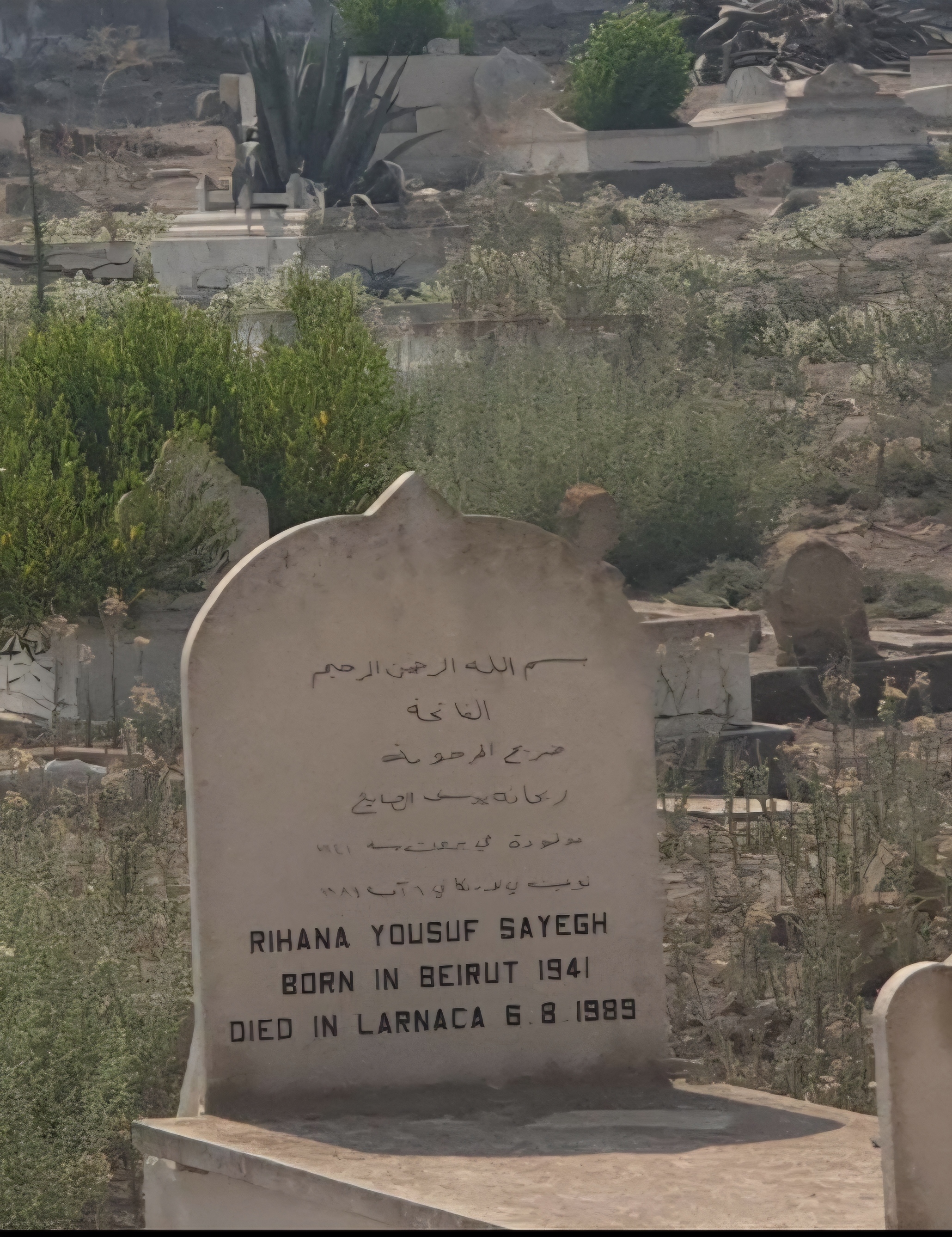 قبر أم سالم