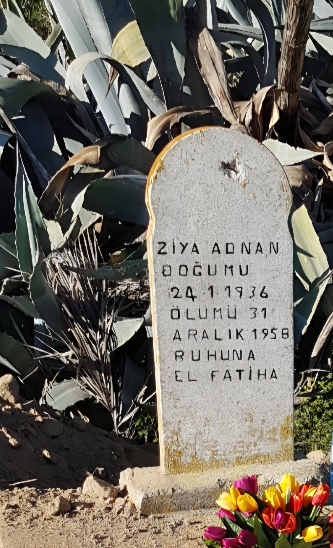 قبر زيه عدنان