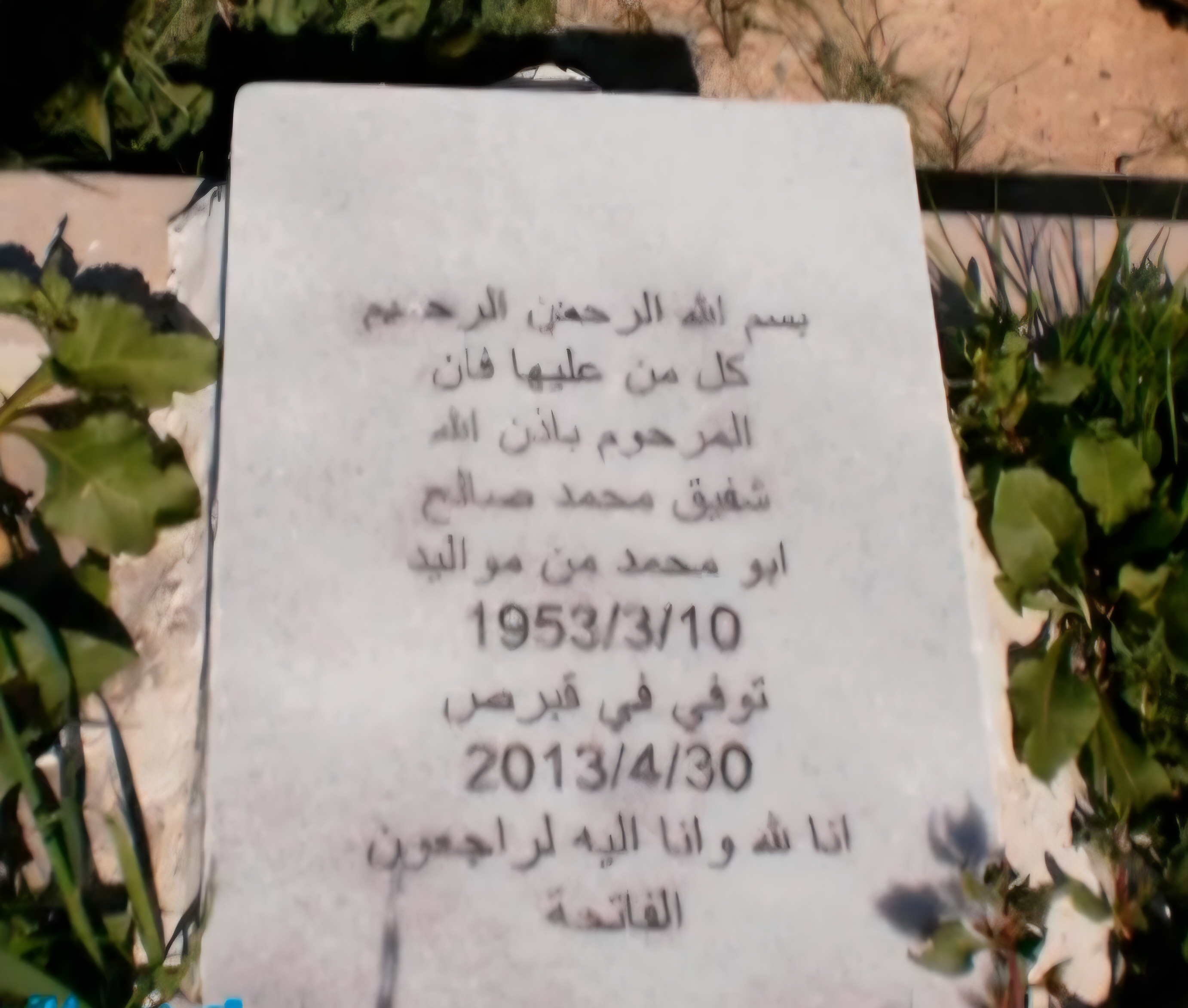 قبر شفيق محمد صالح